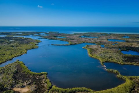 Land in Port Richey, Florida № 985580 - photo 22