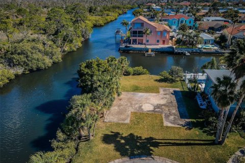 Land in Port Richey, Florida № 985580 - photo 1