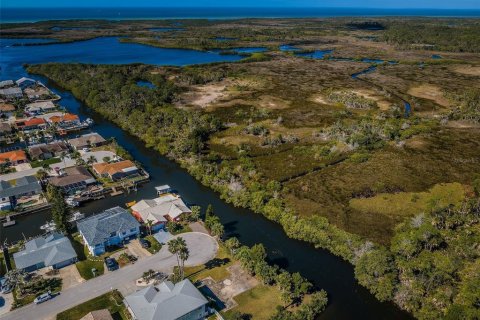 Land in Port Richey, Florida № 985580 - photo 21
