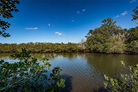 Land in Port Richey, Florida № 985580 - photo 16