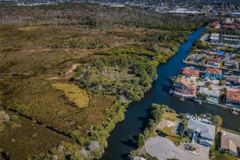 Land in Port Richey, Florida № 985580 - photo 5