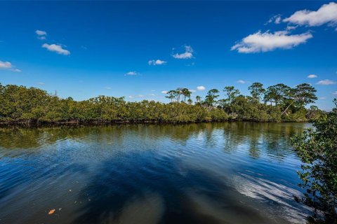 Land in Port Richey, Florida № 985580 - photo 18