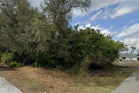 Land in Port Charlotte, Florida № 2160629