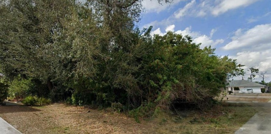 Land in Port Charlotte, Florida № 2160629