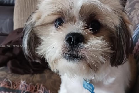 Copropriété à louer à Homestead, Floride: 3 chambres, 102.1 m2 № 1807032 - photo 25