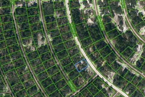 Land in Lake Placid, Florida № 2213035