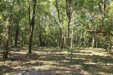 Terreno en venta en Dunnellon, Florida № 1847861 - foto 12