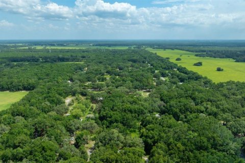 Terreno en venta en Dunnellon, Florida № 1847861 - foto 3