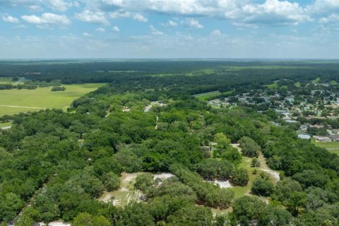 Terreno en venta en Dunnellon, Florida № 1847861 - foto 4