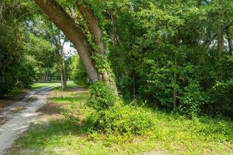 Terreno en venta en Dunnellon, Florida № 1847861 - foto 10