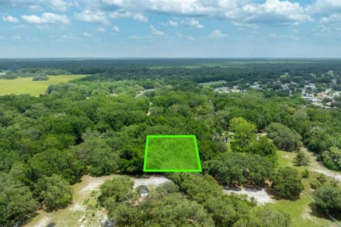 Terreno en venta en Dunnellon, Florida № 1847861 - foto 1