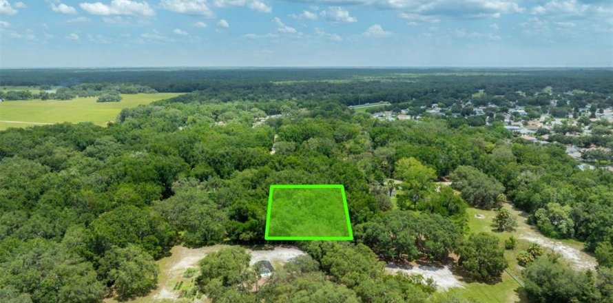 Terreno en Dunnellon, Florida № 1847861
