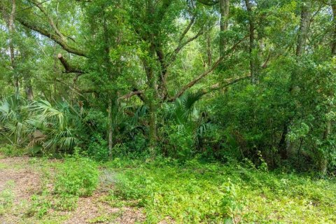 Terreno en venta en Dunnellon, Florida № 1847861 - foto 11