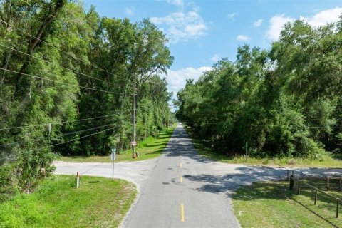 Terreno en venta en Dunnellon, Florida № 1847861 - foto 7