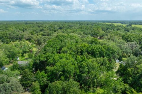 Terreno en venta en Dunnellon, Florida № 1847861 - foto 5