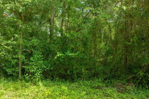 Terreno en venta en Dunnellon, Florida № 1847861 - foto 9