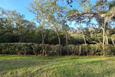 Copropriété à vendre à New Port Richey, Floride: 2 chambres, 82.78 m2 № 2156184 - photo 14