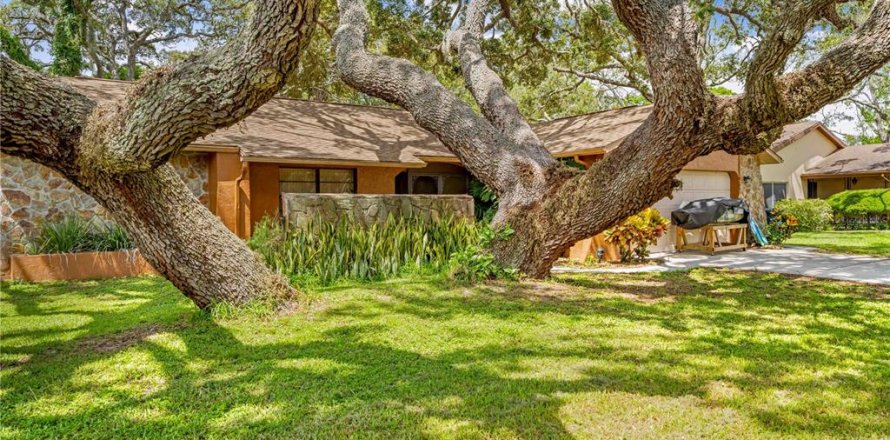 Casa en Spring Hill, Florida 3 dormitorios, 176.79 m2 № 1803681