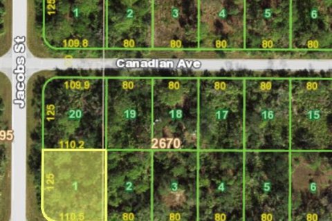 Land in Port Charlotte, Florida № 2206628 - photo 3