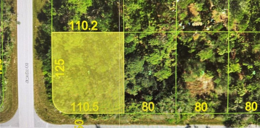 Land in Port Charlotte, Florida № 2206628