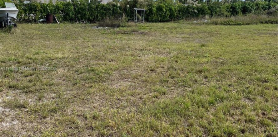 Land in Florida City, Florida № 1706983