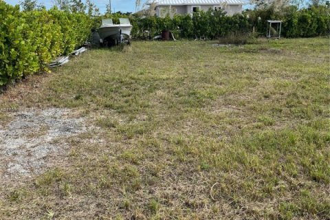 Land in Florida City, Florida № 1706983 - photo 4