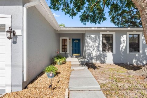 Villa ou maison à vendre à Oldsmar, Floride: 3 chambres, 162.02 m2 № 1636626 - photo 5