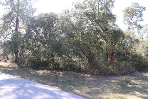Terreno en Ocala, Florida № 2093916