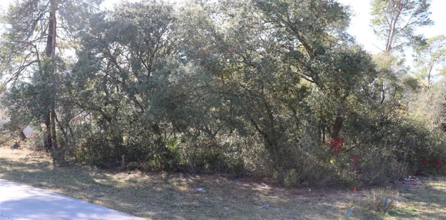 Terrain à Ocala, Floride № 2093916