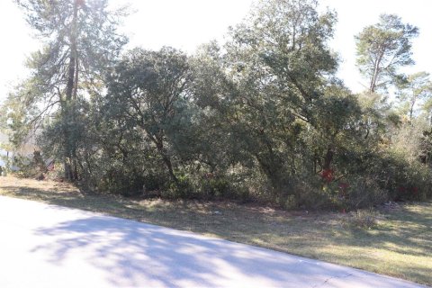 Terrain à vendre à Ocala, Floride № 2093916 - photo 6