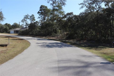 Terrain à vendre à Ocala, Floride № 2093916 - photo 5