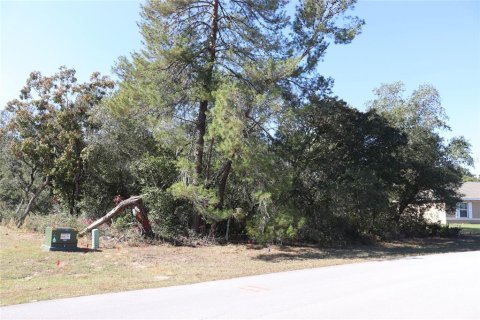 Terrain à vendre à Ocala, Floride № 2093916 - photo 7