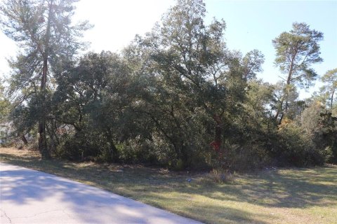 Terrain à vendre à Ocala, Floride № 2093916 - photo 2
