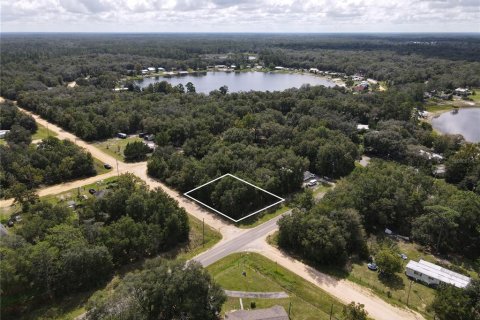 Land in Interlachen, Florida № 2360277