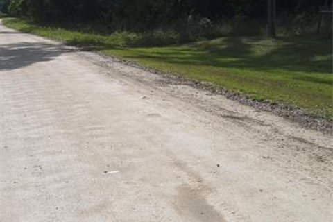 Land in Old Town, Florida № 2161580 - photo 3