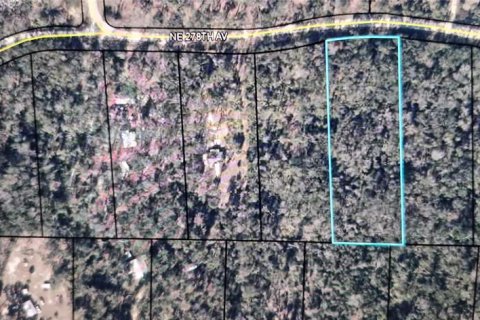 Land in Old Town, Florida № 2161580 - photo 2