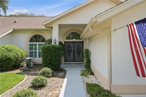 Villa ou maison à vendre à Hernando, Floride: 3 chambres, 268.12 m2 № 2354844 - photo 3