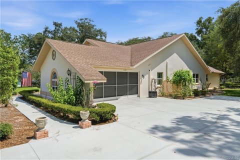 Villa ou maison à vendre à Hernando, Floride: 3 chambres, 268.12 m2 № 2354844 - photo 2