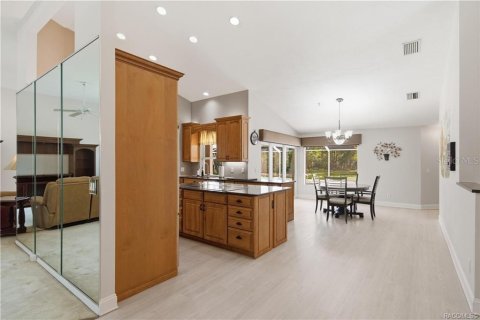 Villa ou maison à vendre à Hernando, Floride: 3 chambres, 268.12 m2 № 2354844 - photo 12