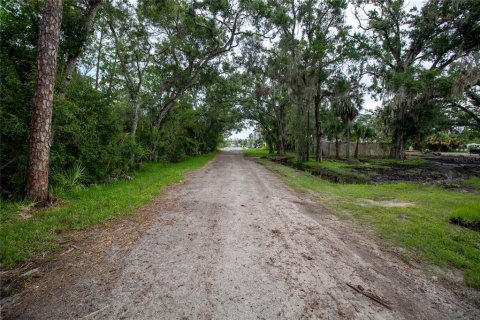 Commercial property in Sarasota, Florida 119.1 sq.m. № 2298572 - photo 15