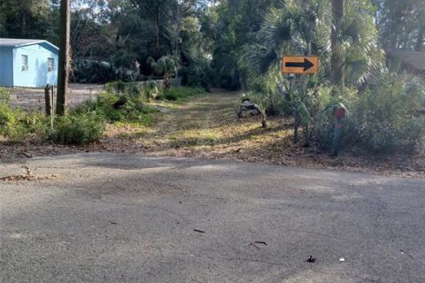 Land in Gainesville, Florida № 1880894 - photo 3