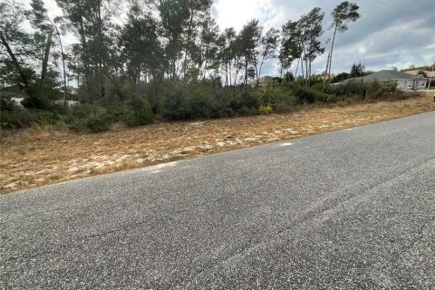 Terreno en Ocala, Florida № 2106382