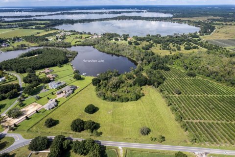 Land in Mount Dora, Florida № 1637221 - photo 7