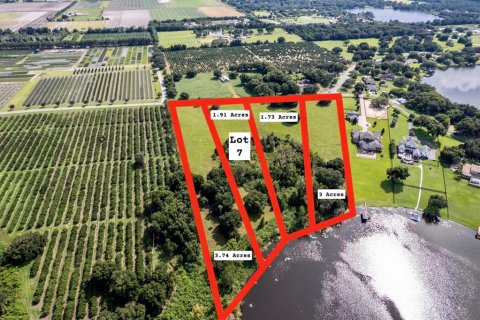 Land in Mount Dora, Florida № 1637221 - photo 3
