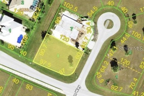 Land in Punta Gorda, Florida № 2229860 - photo 2