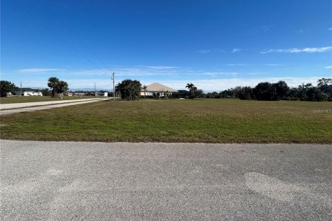 Land in Punta Gorda, Florida № 2229860 - photo 3