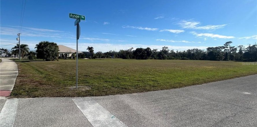 Land in Punta Gorda, Florida № 2229860