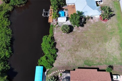 Land in Punta Gorda, Florida № 2165947 - photo 6