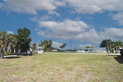 Land in Punta Gorda, Florida № 2165947 - photo 4