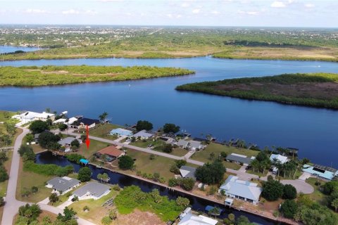 Land in Punta Gorda, Florida № 2165947 - photo 2